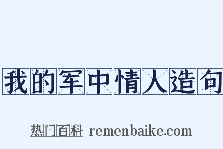 我的军中情人造句是什么意思的图片